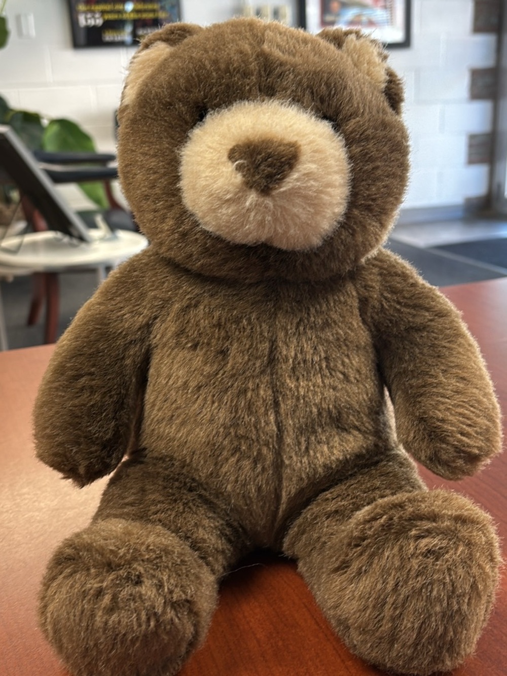 Build-A-Bear Brown Teddy with Cream Snout